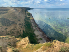 Власти Одессы устроили рыбное кладбище в Днестровском лимане