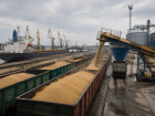 Альтернатив портам Одессы нет: системный кризис украинского зернового экспорта неизбежен