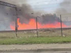 «Мы задыхаемся»: пожарные не могут потушить гектары горящего камыша под Одессой