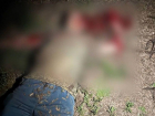 Одесситка попалась полиции на попытке заказать убийство родного брата