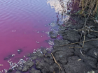 В Одесской области вода внезапно стала розовой