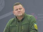 Welt: приказ о теракте на «Северных потоках» одесситу и его команде дал Залужный