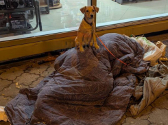 Одесситов просят помочь бездомному с собакой