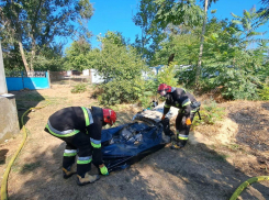 В Одесской области после пожара нашли тела двух погибших