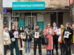 Ветеринары-садисты: одесситы требуют закрыть ветклинику, где убили их животных
