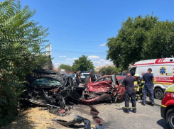 В смертельном ДТП под Одессой погиб 19-летний водитель Toyota