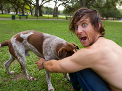 Жутко за детей: по Одессе бегает улизнувший из психушки пациент и насилует животных