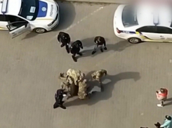 Политолог Воскобойников: в Одессе ТЦК начали врываться в дома и избивать мужчин 