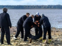 В Одесской области паводок принес в Куяльницкий лиман мусор и удобрения