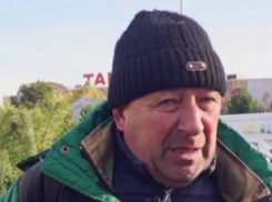 Одесситы рассказали о своих предпочтениях при выборе новогодней елки