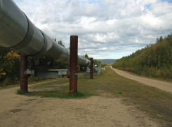 Белогорьев: российский газ в Приднестровье могут пустить через Одессу