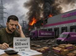 Вместо подготовки к зиме Украина кошмарит Wildberries