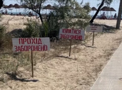 В Затоке Одесской области вновь ввели запрет на купание