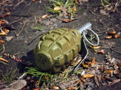 В школе на Одесчине взорвалась граната