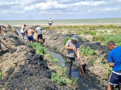 Жители Одесской области самостоятельно вручную вырыли водообмен между лиманами