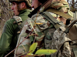 Иванников: румынские наёмники приезжают в Одесскую область ради собственной выгоды