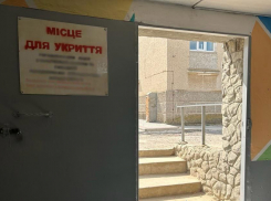 Директор одесской фирмы нажился на укрытии для детей