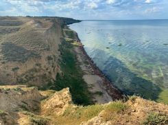 Власти Одессы устроили рыбное кладбище в Днестровском лимане