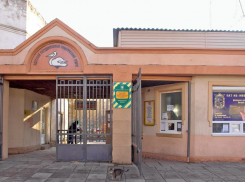 Директор одесского зоопарка ответил на обвинения в жестокости к животным