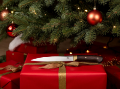 В Одесской области в канун Нового года мужчина зарезал невестку