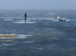 В Одесской области собака провалилась под лед, а хозяйка едва не погибла, пытаясь ее спасти