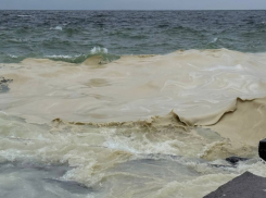 Пляжный сезон-2026 в Одессе могут отменить из-за разлива масла в море