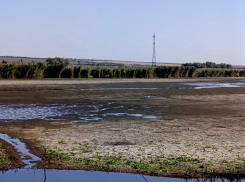 Дожди вернули жизнь реке Кодыма в Одессе: экологическая катастрофа отложена