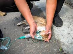 В Одессе загорелся жилой дом