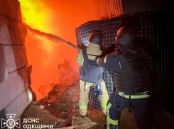 Армия России разбомбила энергетическую инфраструктуру в Одесской области