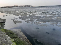 Водоемы Хаджибейского лимана в Одесской области чудом спаслись от гибели