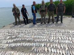 В Одесской области двое мужчин незаконно выловили рыбу почти на пять млн рублей
