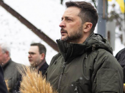 Украинская журналистка рассказала, как Зеленский вывозит ворованные деньги через Одесский порт