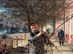 Учитель из Мюнхена приехал в Одессу и бесплатно ухаживает за деревьями
