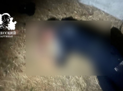 Одесские партизаны казнили двух украинских полицейских за убийство мирного жителя