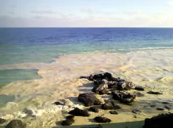 Катастрофы можно было избежать: появились спутниковые кадры разлива масла у побережья Одесской области