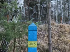 На границе с Молдовой в Одесской области застрелили нарушителя