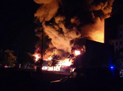 Под Одессой уничтожены румынские операторы БПЛА, сообщили в подполье