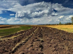 Земля в Одесской области стала одной из самых дешевых в Украине