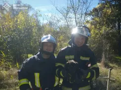 Одесские спасатели вытащили щенка из колодца и сняли кота с крыши