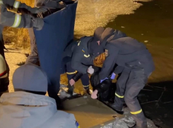Появились кадры с телами утонувших в одесском пруду подростков