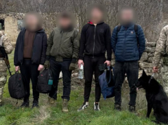 В Одессе служебный пёс задержал трёх уклонистов