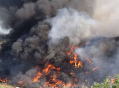 В Одесской области заживо сгорел человек: фотографии шокируют