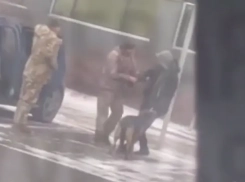 В Одессе собака спасла от мобилизации своего хозяина