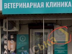 В одесской ветклинике убили собаку и избили ее хозяйку