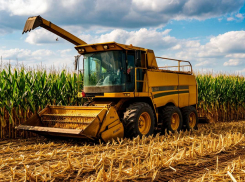 Удары по одесским портам превратили Украину в экспортного импотента