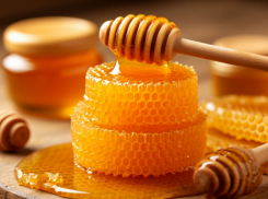 «Такого неурожая не было 30 лет»: в Одессе подорожал мед из-за весенних заморозков