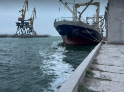 Детективы БЭБ предотвратили незаконный экспорт сои из Одесского порта на миллионы гривен