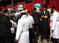 На трассе Киев-Одесса автобус с хасидами попал в ДТП