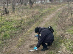 В Измаиле школьница убила и сожгла подругу за кражу алкоголя из дома