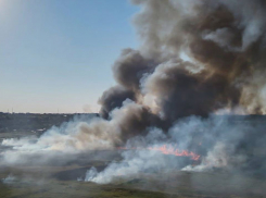 На Одесчине сгорели сотни гектаров земли